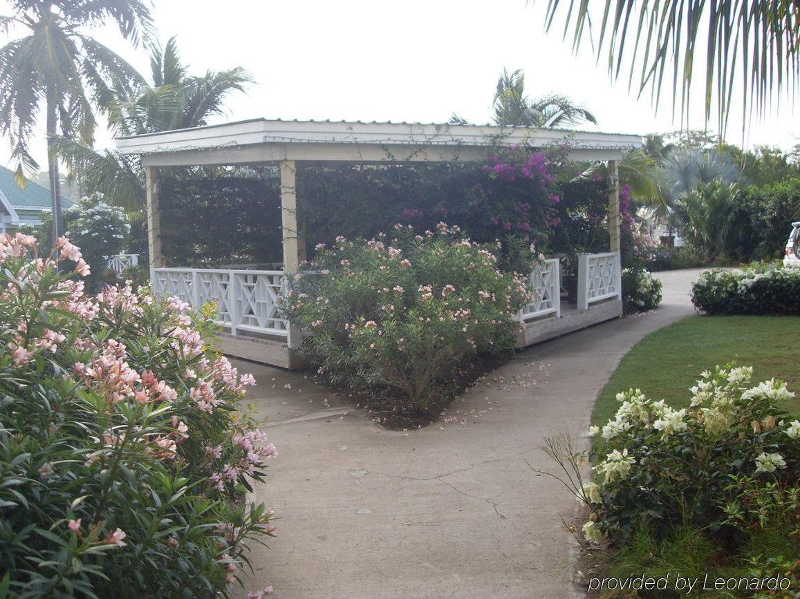 Nelson Spring Beach Resort Saint Thomas Lowland Екстер'єр фото